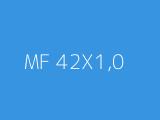 MF 42X1,0 